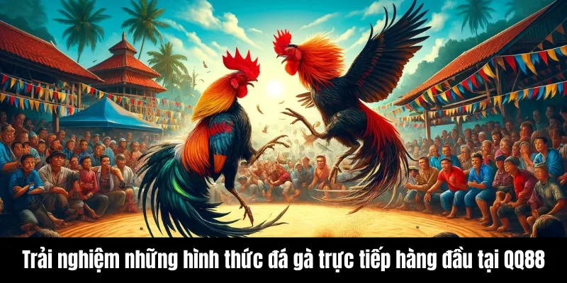 Trải nghiệm những hình thức đá gà trực tiếp hàng đầu tại QQ88